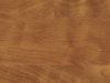 WP513-Golden Teak.png